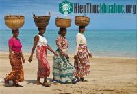 Ảnh Bí mật nguồn gốc phát hiện ra đảo Madagascar được tiết lộ