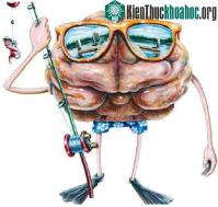 Ảnh Những cách tập luyện não bộ giúp bạn có nghị lực phi thường