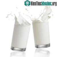 Ảnh Cách bảo quản sữa không hỏng dù không có tủ lạnh
