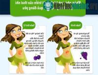 Ảnh Liên tưởng thú vị về sự phát triển của thai nhi qua các loại quả