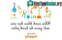 Ảnh Khía cạnh khoa học của mối quan hệ hạnh phúc