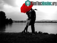 Ảnh Công thức yêu giúp tính độ dài mối quan hệ