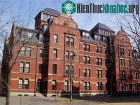 Ảnh Tên gọi University và College khác nhau thế nào?