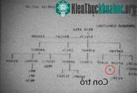 Ảnh Tại sao con trỏ chuột nằm nghiêng mà không nằm dọc?