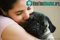 Ảnh Nuôi động vật sẽ giúp trẻ em trưởng thành hơn