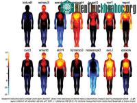 Ảnh Biểu đồ màu giải mã cảm xúc