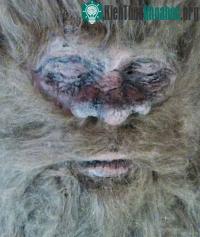 Ảnh Xuất hiện bằng chứng mới về quái thú Bigfoot
