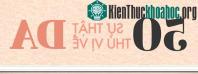 Ảnh 50 sự thật về da