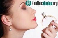 Ảnh Tại sao nước hoa có mùi khác biệt với mỗi người?
