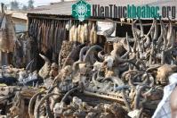 Ảnh Chợ phép thuật bùa chú ở Châu Phi