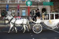 Ảnh 10 điều có thể bạn chưa từng biết về London