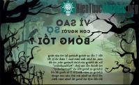 Ảnh Vì sao con người sợ bóng tối?