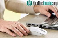 Ảnh Sự thú vị của những người thuận tay trái