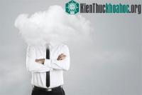 Ảnh 5 dấu hiệu bạn không thông minh như mình tưởng