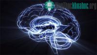 Ảnh Người hiện đại không thông minh bằng người thế kỷ 19?