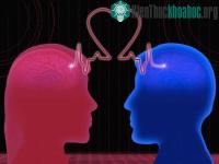 Ảnh Giải mã hiện tượng "tình yêu sét đánh"
