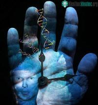 Ảnh Chứng cứ gene về cuộc xâm lăng địa cầu của loài người
