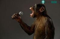 Ảnh Giả thuyết mới về ngôn ngữ loài người