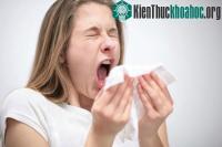 Ảnh Bí ẩn của hắt xì hơi
