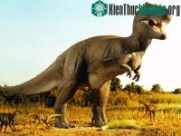 Ảnh Dấu hiệu chứng tỏ khủng long là động vật máu nóng