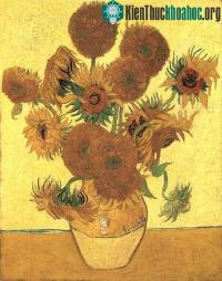 Ảnh Bí ẩn hoa hướng dương trong tranh Van Gogh