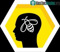 Ảnh Điểm tương đồng giữa hoạt động của não người và ong