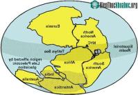 Ảnh Tìm thấy chứng nhân thực vật thời siêu lục địa