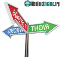 Ảnh Phát hiện mới về khả năng “tiên tri”