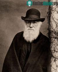 Ảnh Sáng tỏ nghi án Darwin “đạo” ý tưởng