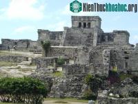 Ảnh Nền văn minh Maya sụp đổ do mất rừng?