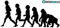 Ảnh Đảo ngược quan điểm "con người sinh ra đã xấu"
