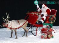 Ảnh Tại sao ông già Noel lại chọn tuần lộc cái kéo xe?