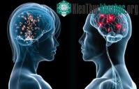 Ảnh "Bản đồ" tình dục trên não nữ giới