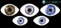 Ảnh Đôi điều ít biết về "cửa sổ tâm hồn"