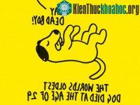 Ảnh Bật mí 22 điều lý thú có thể bạn chưa biết