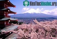 Ảnh Bất ngờ thú vị về “họ” của người Nhật