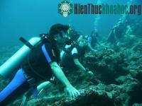 Ảnh Trong tương lai con người có thể hô hấp dưới nước