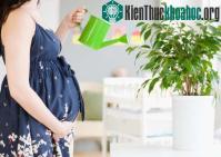 Ảnh Ngày 8/3: 8 phát hiện thú vị về phụ nữ