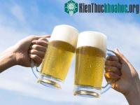 Ảnh Nhiên liệu sinh học từ chất thải của nhà máy bia
