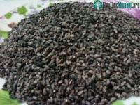 Ảnh Cám nếp cẩm có nhiều chất chống oxy hóa hơn việt quất