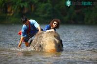 Ảnh Vật chất không tạo nên hạnh phúc lâu dài