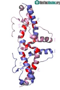 Ảnh Triển vọng thuốc điều trị bệnh gây ra bởi quá trình kết xoắn sai của protein