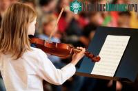 Ảnh Nền tảng di truyền của thiên hướng âm nhạc: sinh học thần kinh của nhạc tính liên quan đến cách cư xử gắn với bản năng