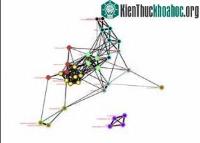 Ảnh Tổ chức não thay đổi khi trẻ em thành người lớn