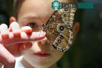 Ảnh Protêin với “bộ điều khiển định vị”