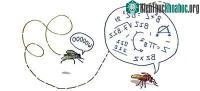 Ảnh Loài vật cũng học nhưng thông minh hơn chưa chắc đã tốt hơn (Phần 1)
