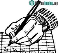 Ảnh Chuyện lý thú về bút tích học