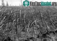 Ảnh Công bố những bí ẩn về vụ nổ Tunguska