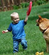 Ảnh Trẻ con hay bị chó cắn vì... mất trật tự