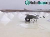 Ảnh Vì sao ít người tách nước ngọt từ nước biển?